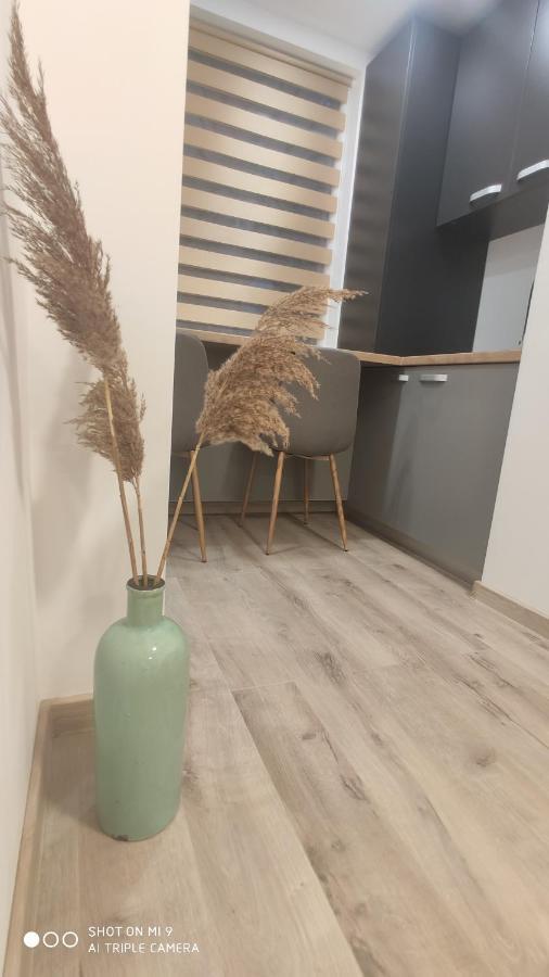 Popasu Din Oras Apartment Baia Mare Exterior photo